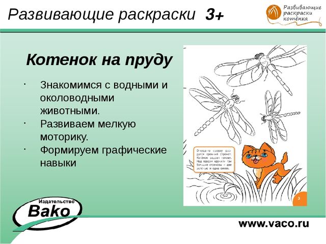 ПРОГРАММА для ДОО "Оранжевый Котенок"