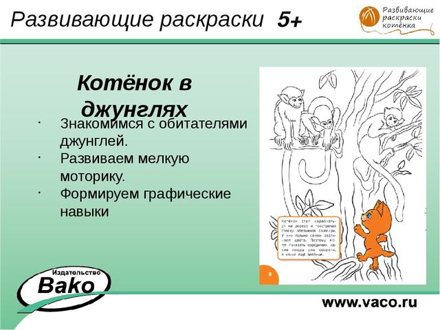 ПРОГРАММА для ДОО "Оранжевый Котенок"