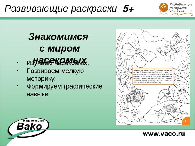 ПРОГРАММА для ДОО "Оранжевый Котенок"
