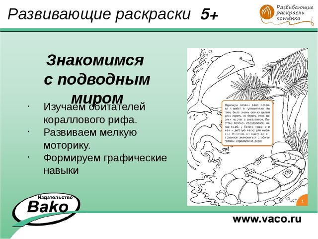 ПРОГРАММА для ДОО "Оранжевый Котенок"