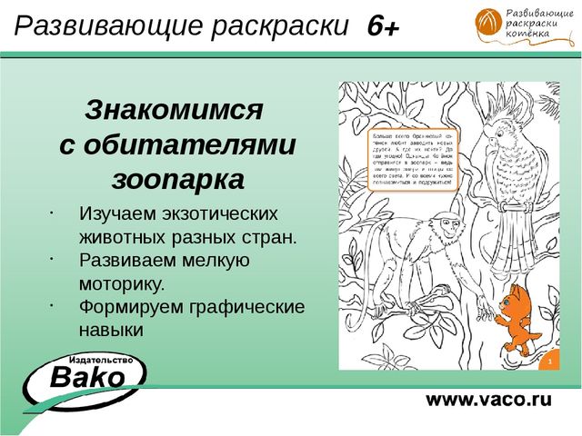 ПРОГРАММА для ДОО "Оранжевый Котенок"