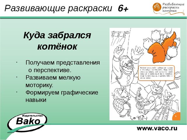 ПРОГРАММА для ДОО "Оранжевый Котенок"