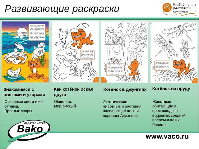ПРОГРАММА для ДОО "Оранжевый Котенок"