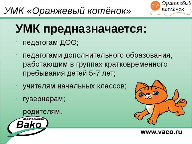 ПРОГРАММА для ДОО "Оранжевый Котенок"