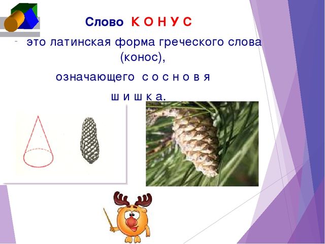 Презентация по ФЭМП "Откуда произошли названия геометрических фигур"