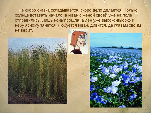 Презентация - сказка для детей дошкольного возраста "Ознакомление детей с орудиями труда и особенностями обработки льна"