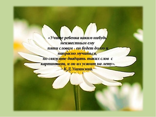 Презентация на тему "Использование приемов мнемотехники при формировании связной речи у дошкольников"