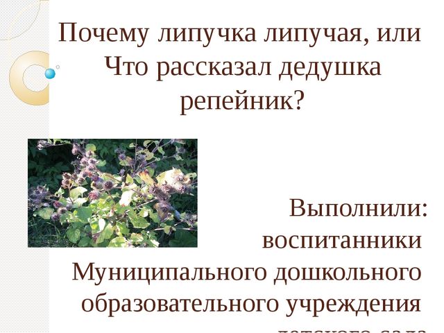 Презентация по познавательному развитию