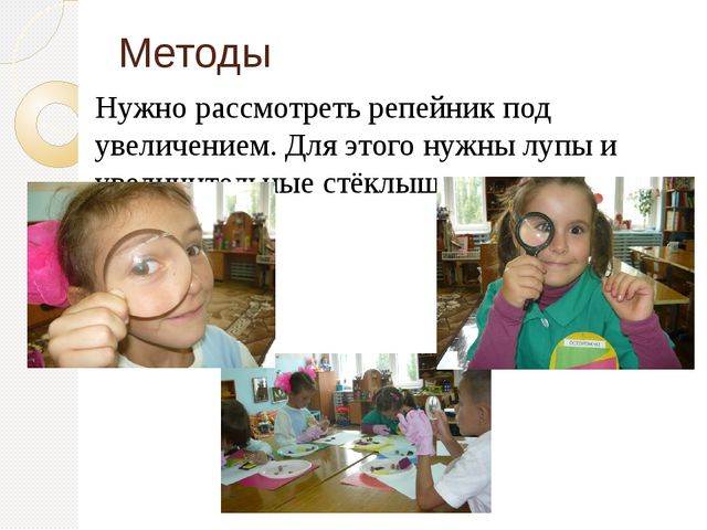 Презентация по познавательному развитию