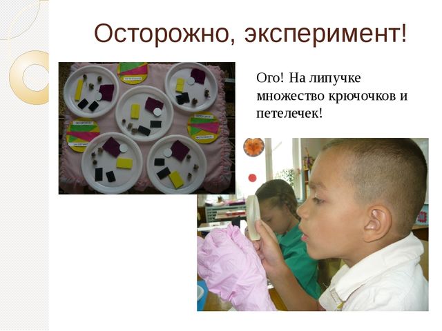 Презентация по познавательному развитию