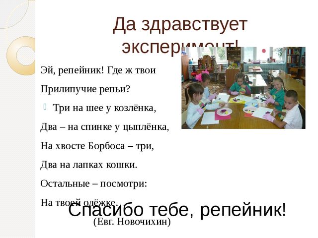 Презентация по познавательному развитию