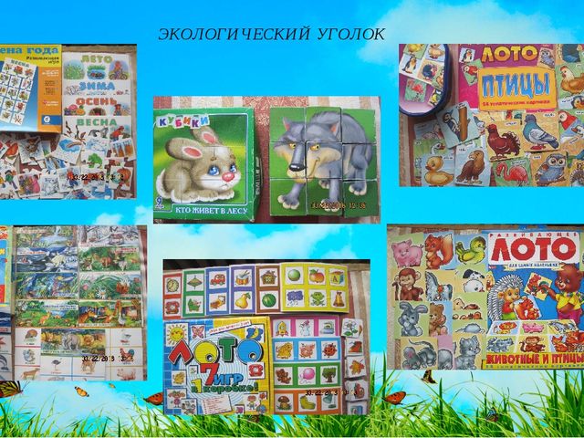 Предметно-развивающая среда В ДОУ