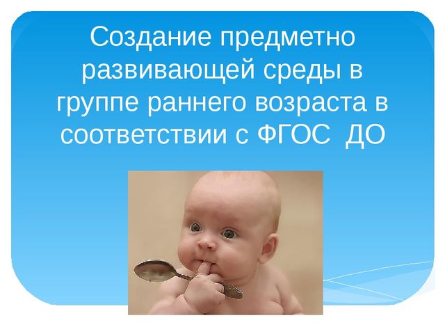 Презентация "Создание предметно развивающей среды в группе раннего возраста в соответствии с ФГОС ДО"
