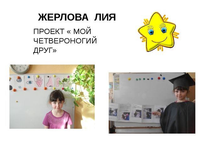 Презентация " Фестиваль детских научных проектов " Звездопад"