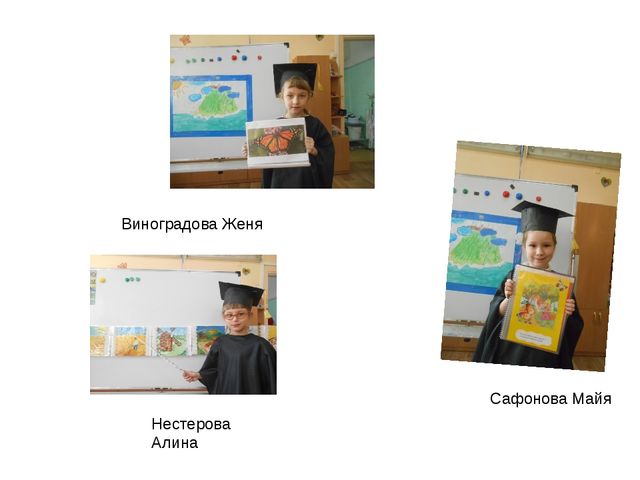 Презентация " Фестиваль детских научных проектов " Звездопад"