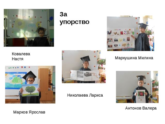 Презентация " Фестиваль детских научных проектов " Звездопад"