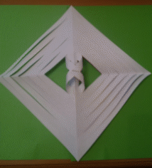 Picture 31