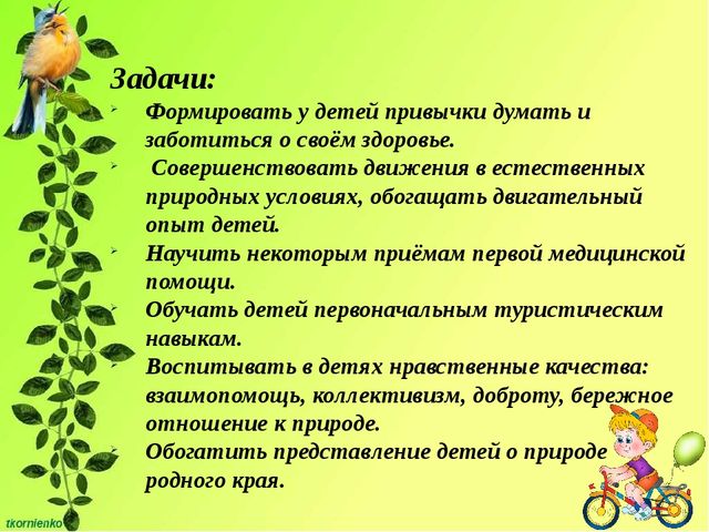 Презентация Организация физкультурно-оздоровительной работы по туризму в детском саду. "Веселый рюкзачок".