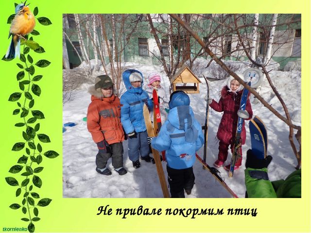 Презентация Организация физкультурно-оздоровительной работы по туризму в детском саду. "Веселый рюкзачок".