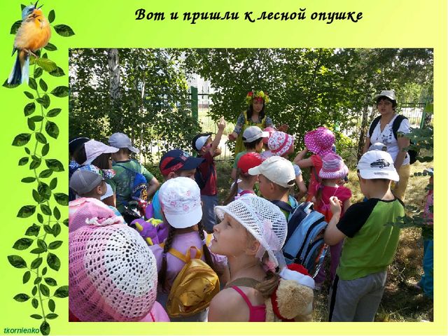 Презентация Организация физкультурно-оздоровительной работы по туризму в детском саду. "Веселый рюкзачок".