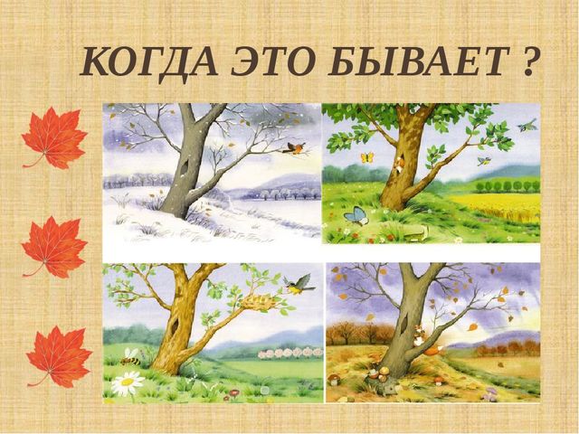 Презентация "Как птицы и звери готовятся к зиме"