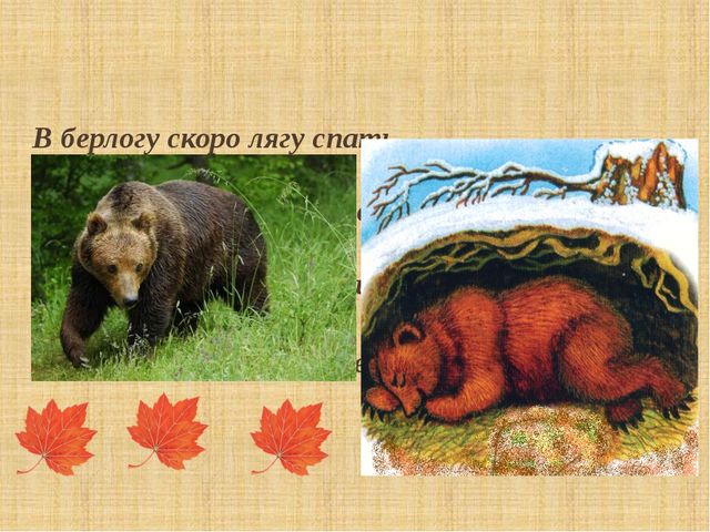 Презентация "Как птицы и звери готовятся к зиме"