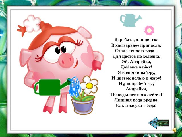 Презентация "О комнатных растениях"