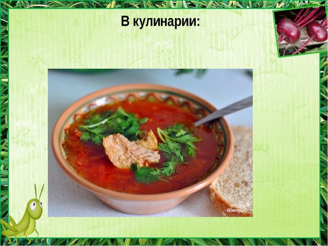 Детский проект " Я не люблю свеклу"
