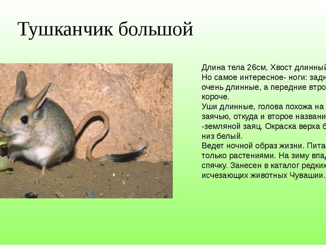 Красная книга Чувашской Республики
