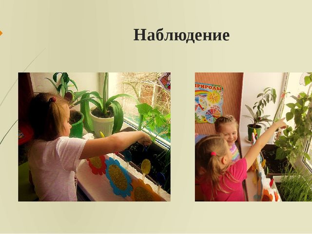 Презентация: "Формы, методы и приемы организации познавательно-исследовательской деятельности в ДОО"