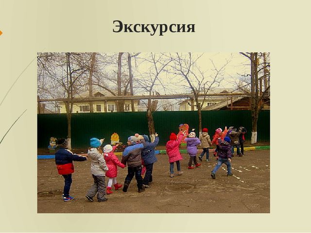 Презентация: "Формы, методы и приемы организации познавательно-исследовательской деятельности в ДОО"
