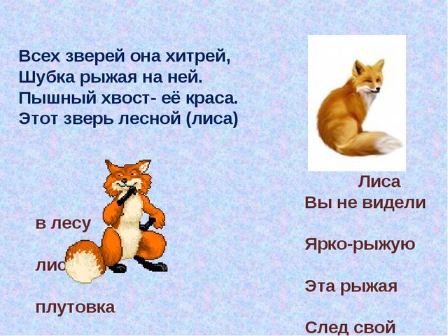 Презентация Поэтапное рисование диких животных
