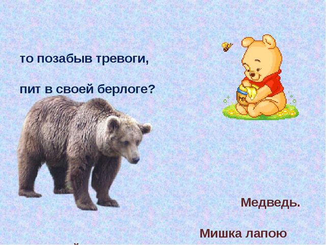 Презентация Поэтапное рисование диких животных