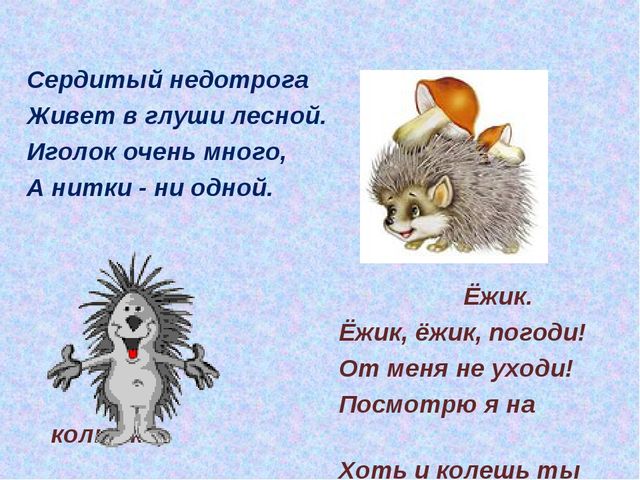 Презентация Поэтапное рисование диких животных