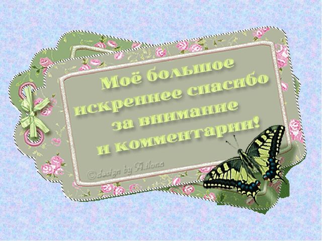 Презентация Поэтапное рисование диких животных