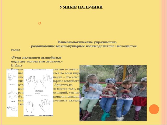 Презентация Отчет о летней оздоровительной работе