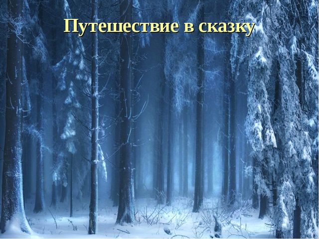 Презентация "Новогоднее путешествие в сказку"