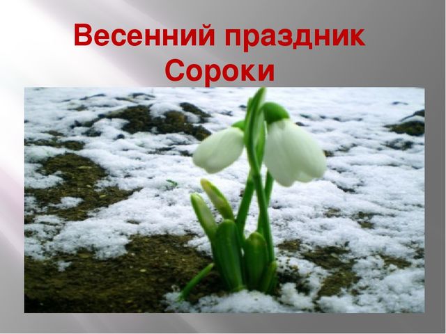 Проект на тему: «Знакомство детей с традициями проведения праздника Сороки»