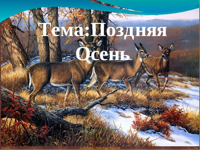 Презентация по познавательному развитию на тему: "Поздняя осень"