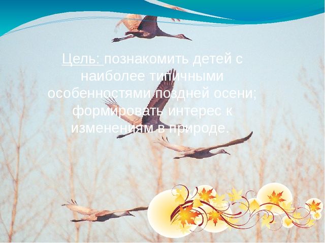 Презентация по познавательному развитию на тему: "Поздняя осень"