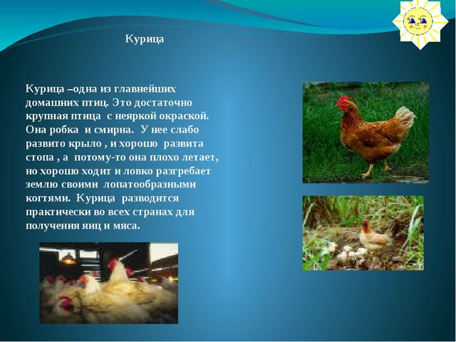 Презентация на тему: "Перелётные и зимующие птицы"