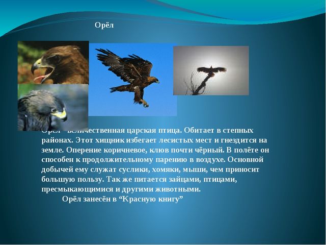 Презентация на тему: "Перелётные и зимующие птицы"
