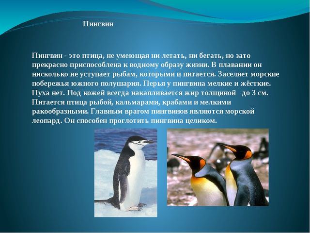 Презентация на тему: "Перелётные и зимующие птицы"