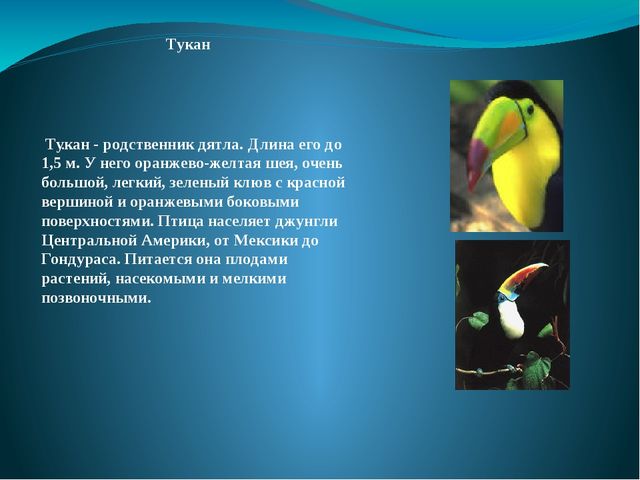 Презентация на тему: "Перелётные и зимующие птицы"
