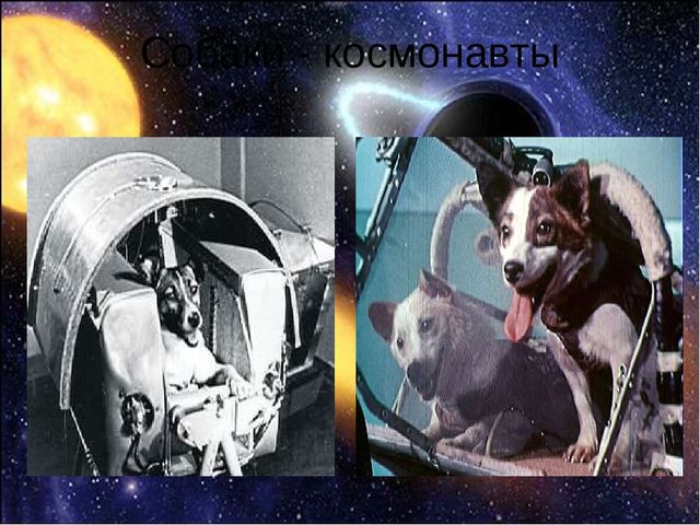Интегрированное развлечение с использованием ИКТ «Школа юных космонавтов»