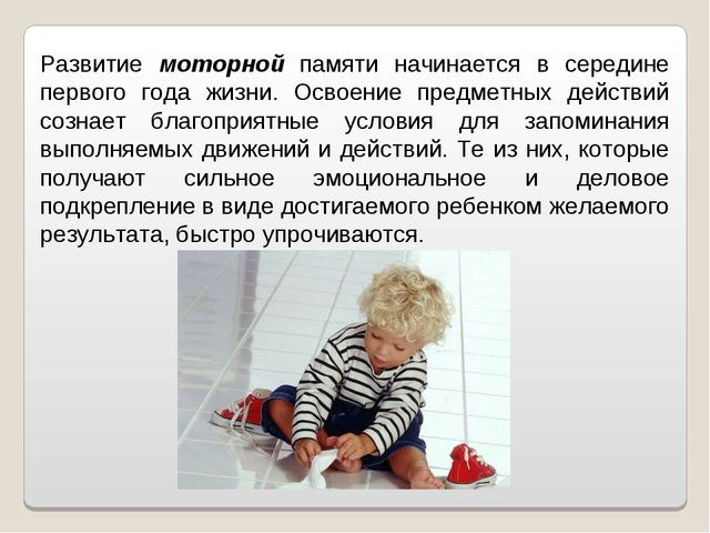 Презентация "Развитие памяти в дошкольном возрасте"