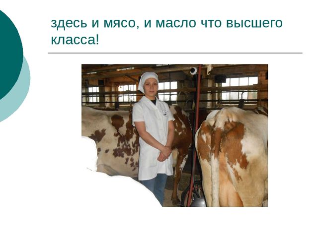 Презентация всем Татарстаном для дошкольников