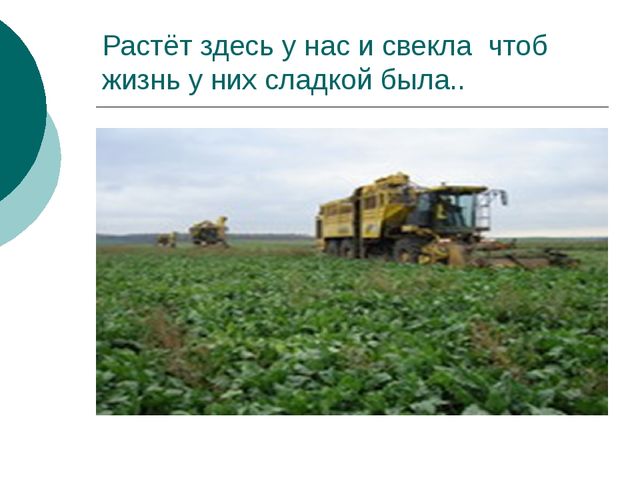 Презентация всем Татарстаном для дошкольников