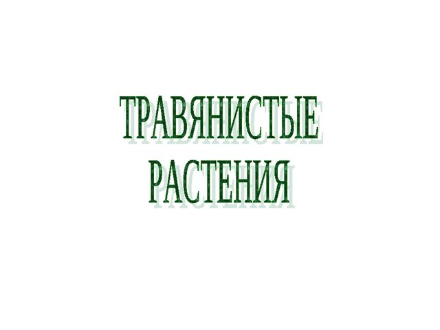 Презентация .Зеленые тропинки.А.А.Плешаков.Тема "Травы.Кустарники.Деревья""