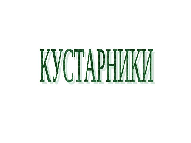 Презентация .Зеленые тропинки.А.А.Плешаков.Тема "Травы.Кустарники.Деревья""